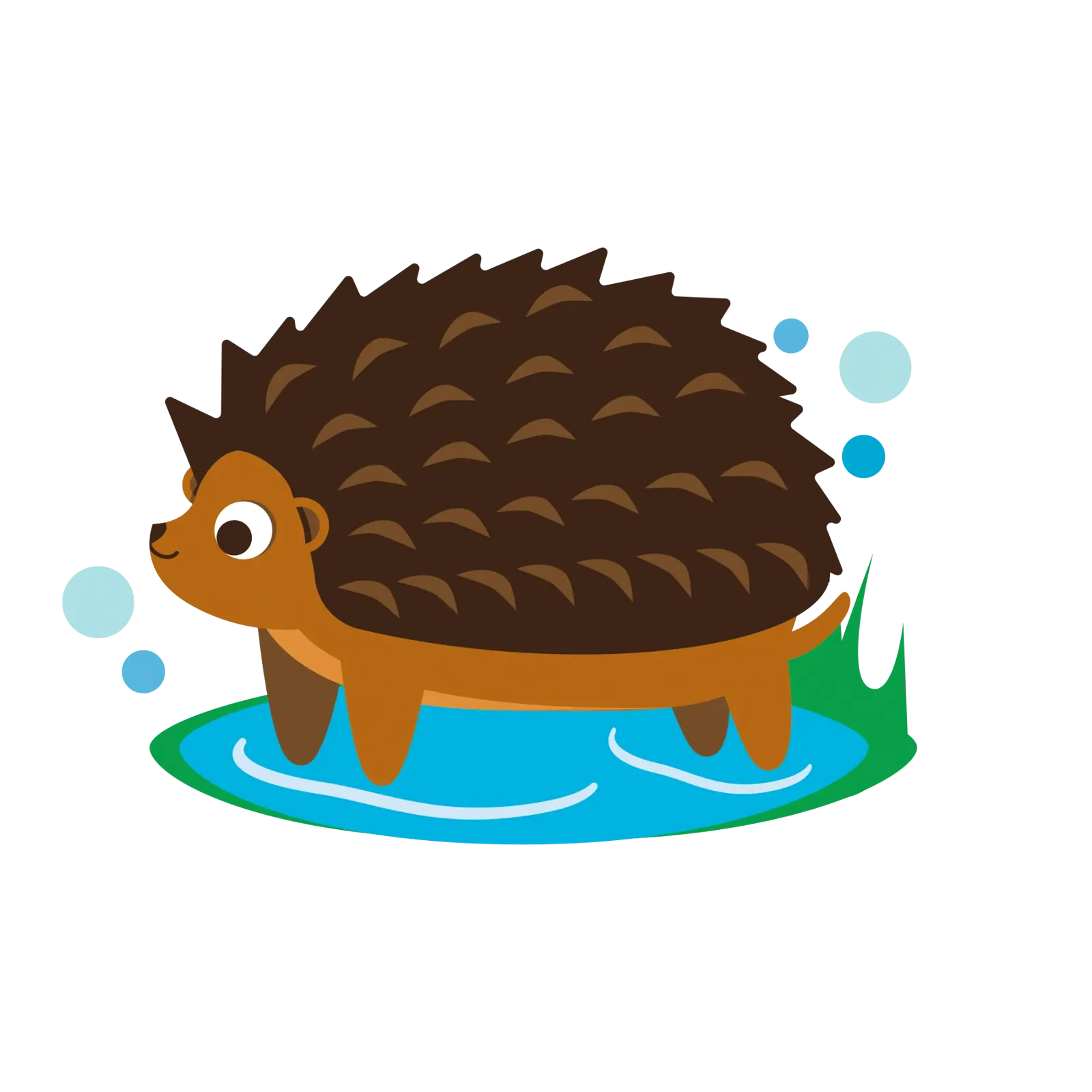 Hedgehog swim level badge